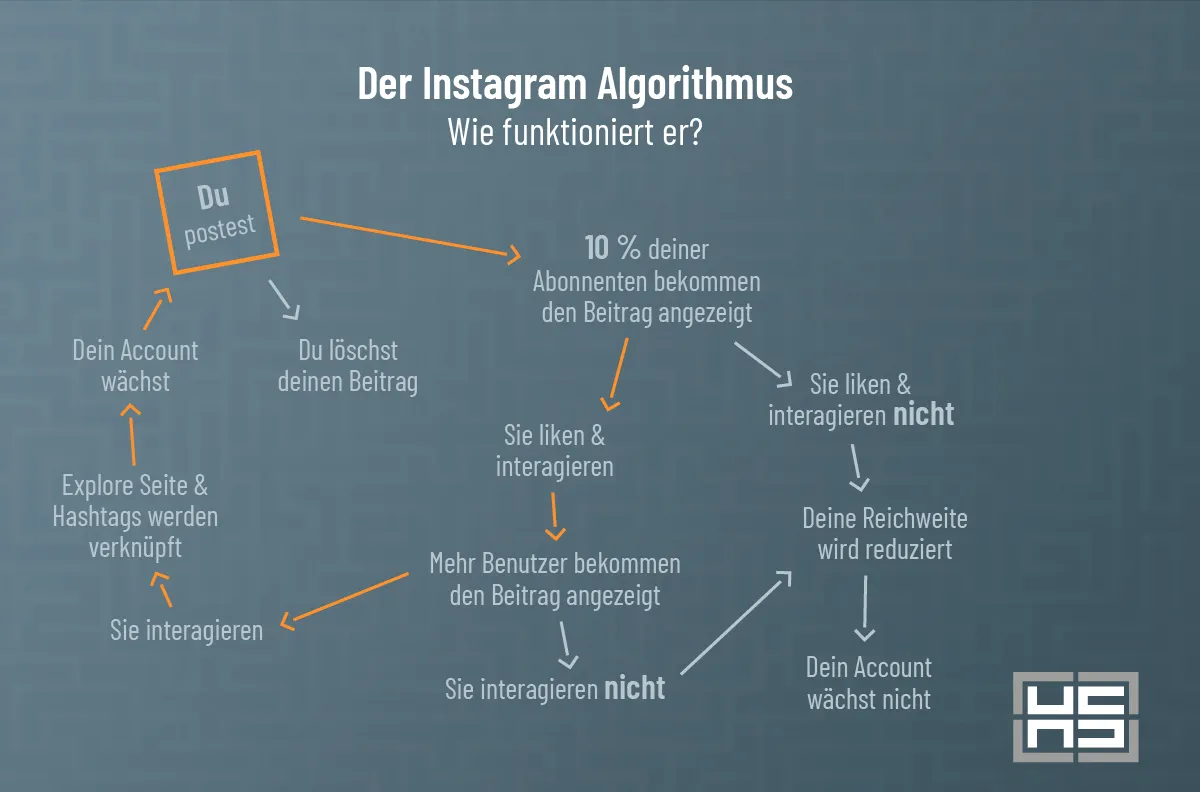 Infografik: Wie funktioniert der Instagram Algorithmus